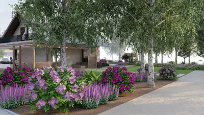 Projektowanie zieleni TimeForGarden